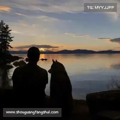 苗诗纯